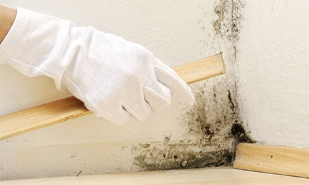 как проводитится дезинфекция